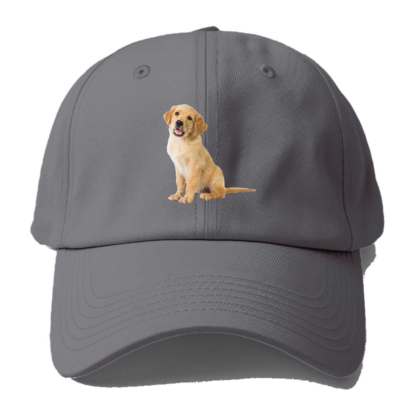 Playful golden pup with a cheerful expression Hat