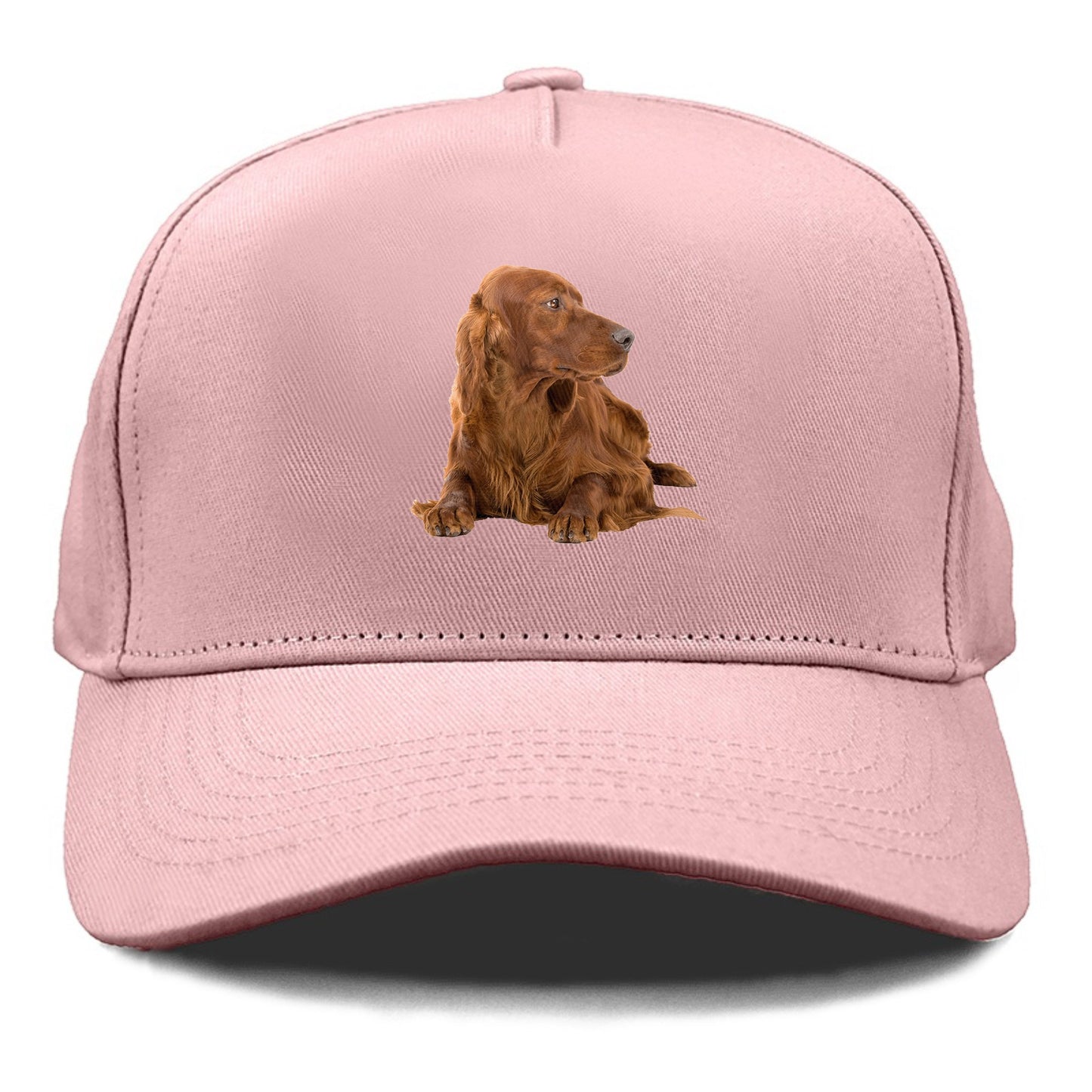 Irish Setter Hat