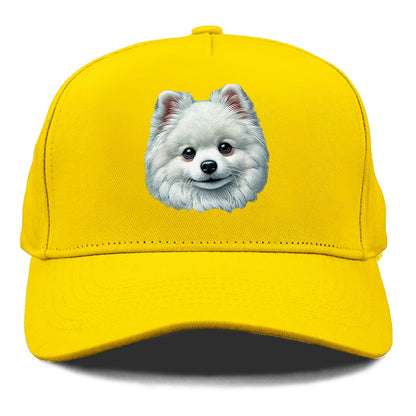 Pomeranian Hat