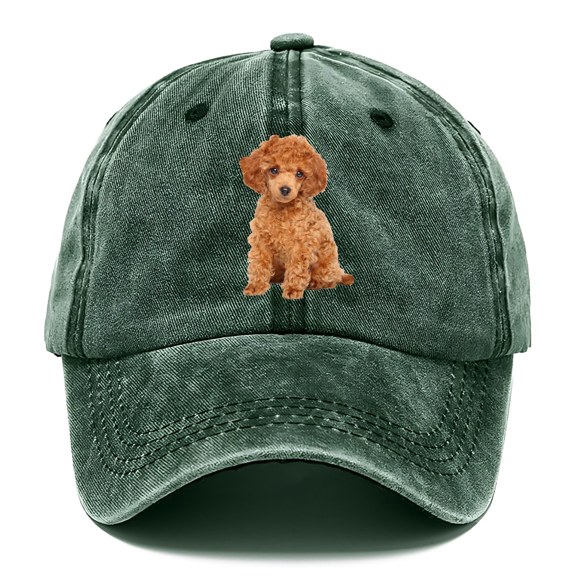 toy poodle Hat