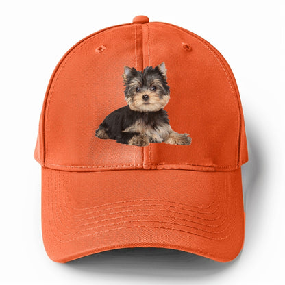 Yorkshire terrier Hat