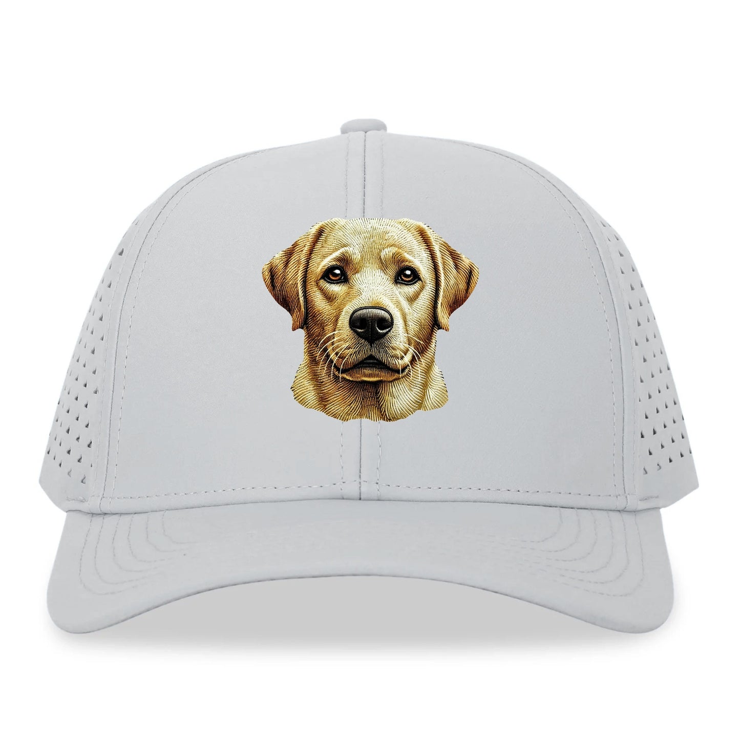 Labrador Retriever_ Hat