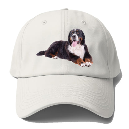 bernese mountain dog Hat