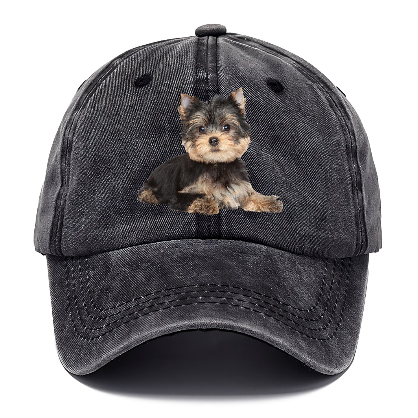 Yorkshire terrier Hat