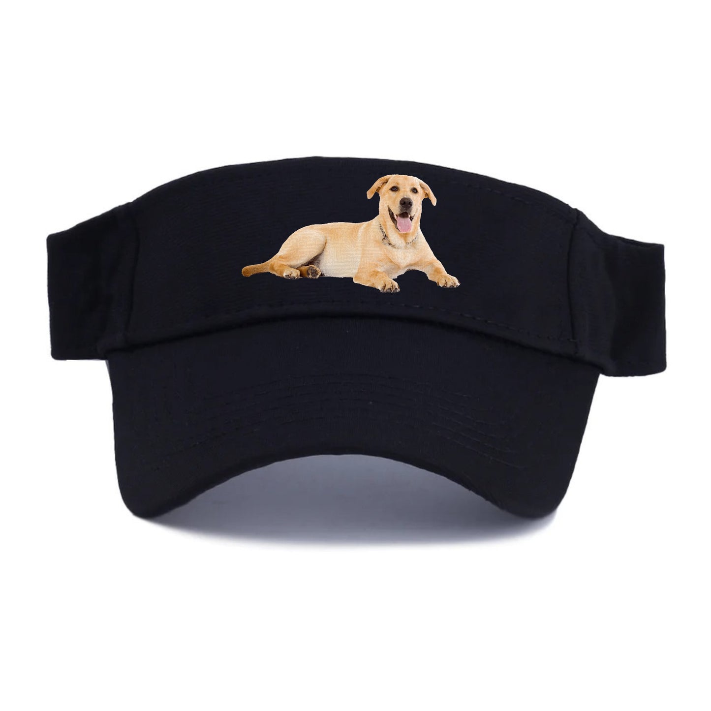 Labrador laying down Hat