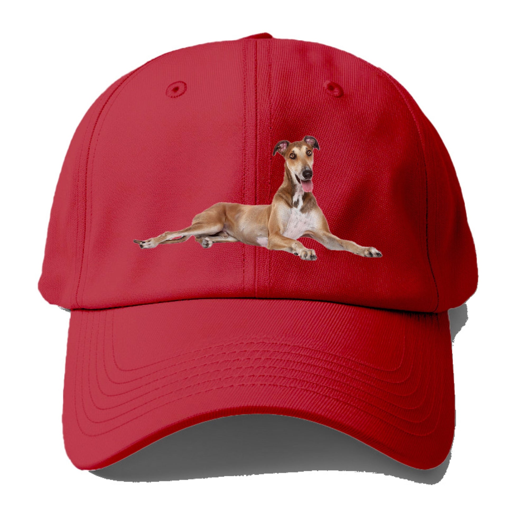 Greyhound Hat