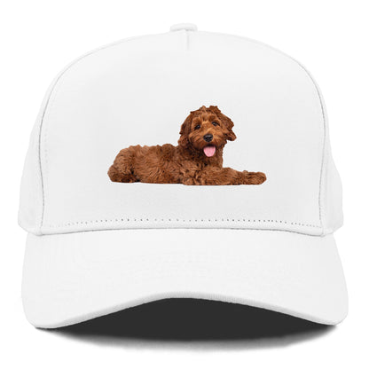 Labradoodle laying down Hat