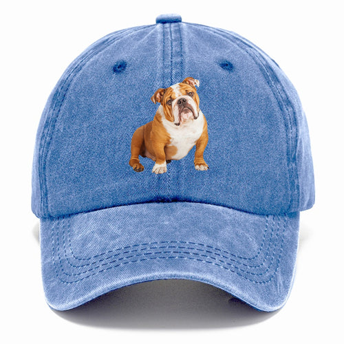 Bulldog Classic Cap