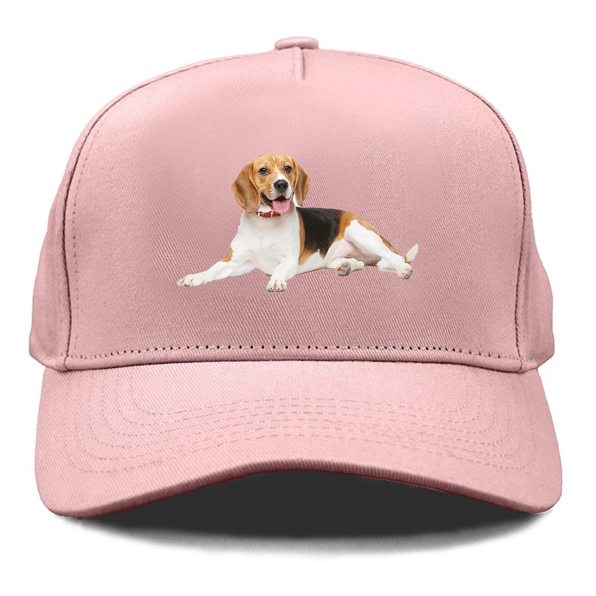 beagle Hat