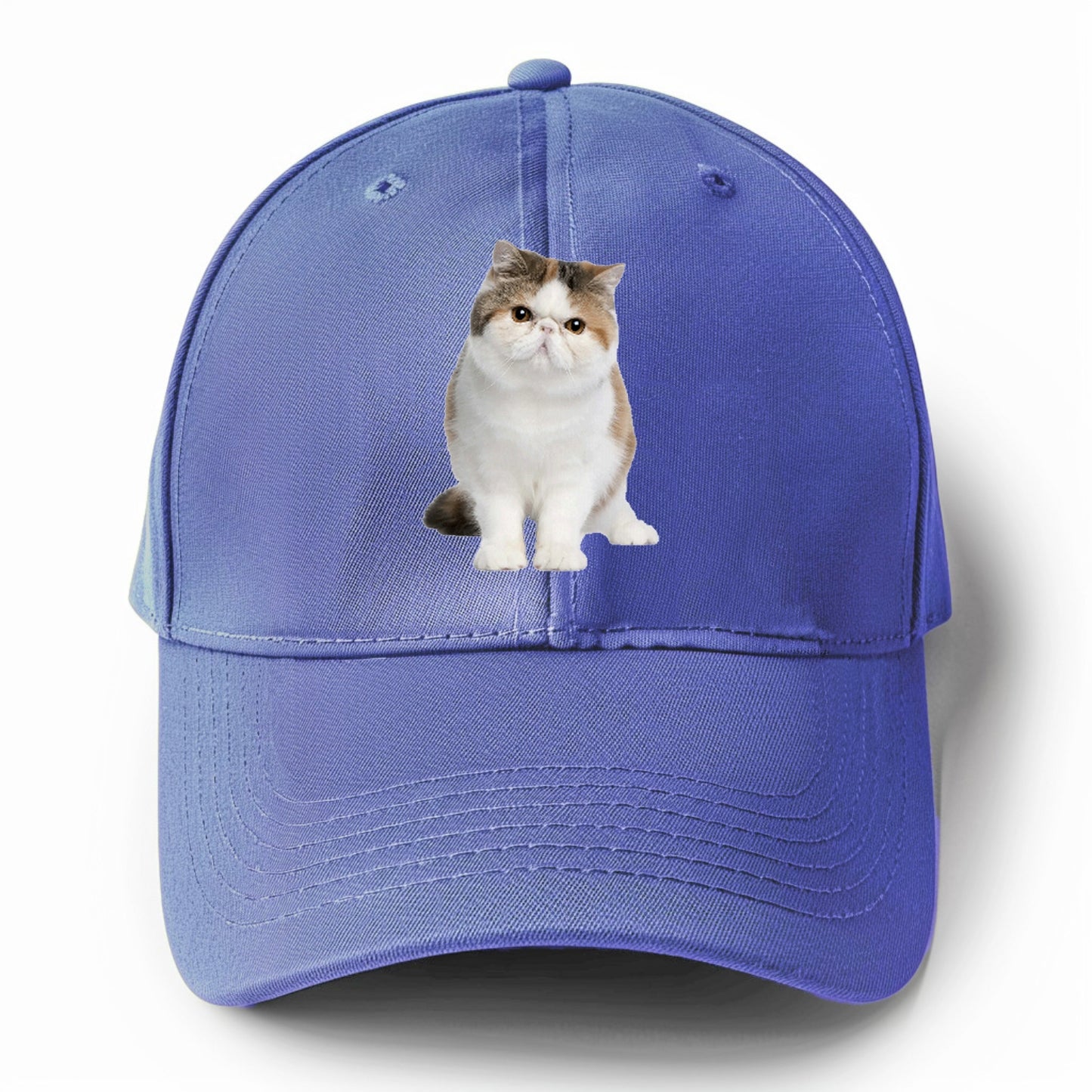 exotic shorthair Hat