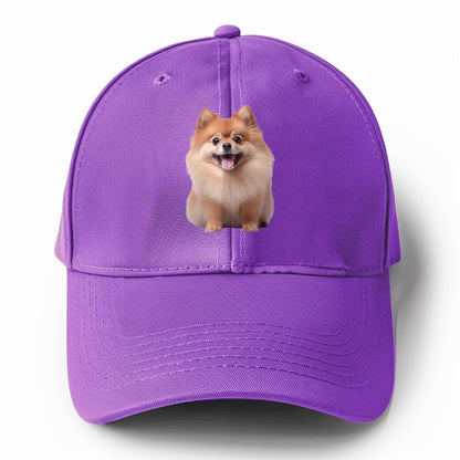 Delighted Pomeranian  Hat