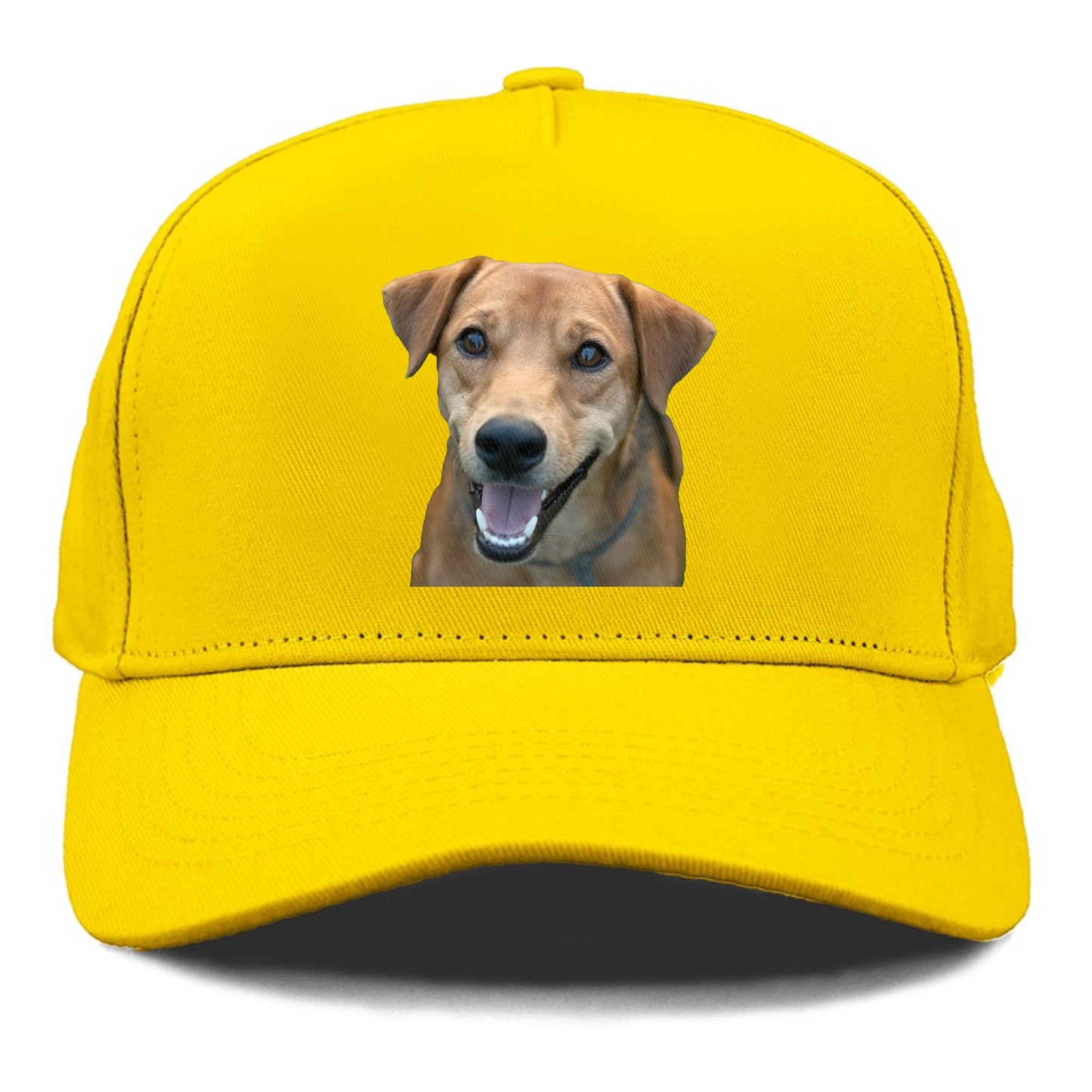 Labrador Hat