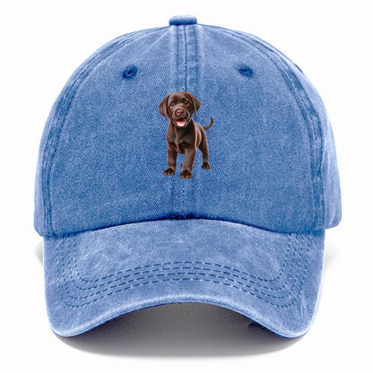 chocolate labrador Hat