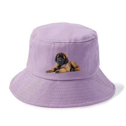 Leonberger Hat