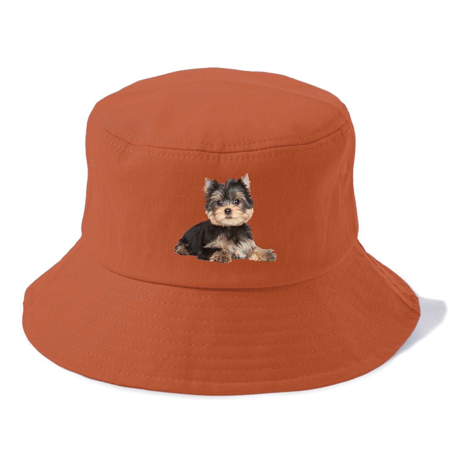 Yorkshire terrier Hat