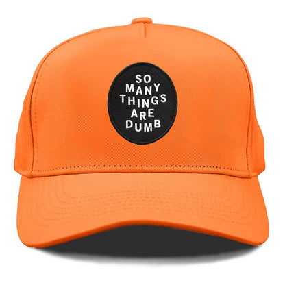 so many things are dumb Hat