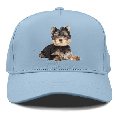 Yorkshire terrier Hat