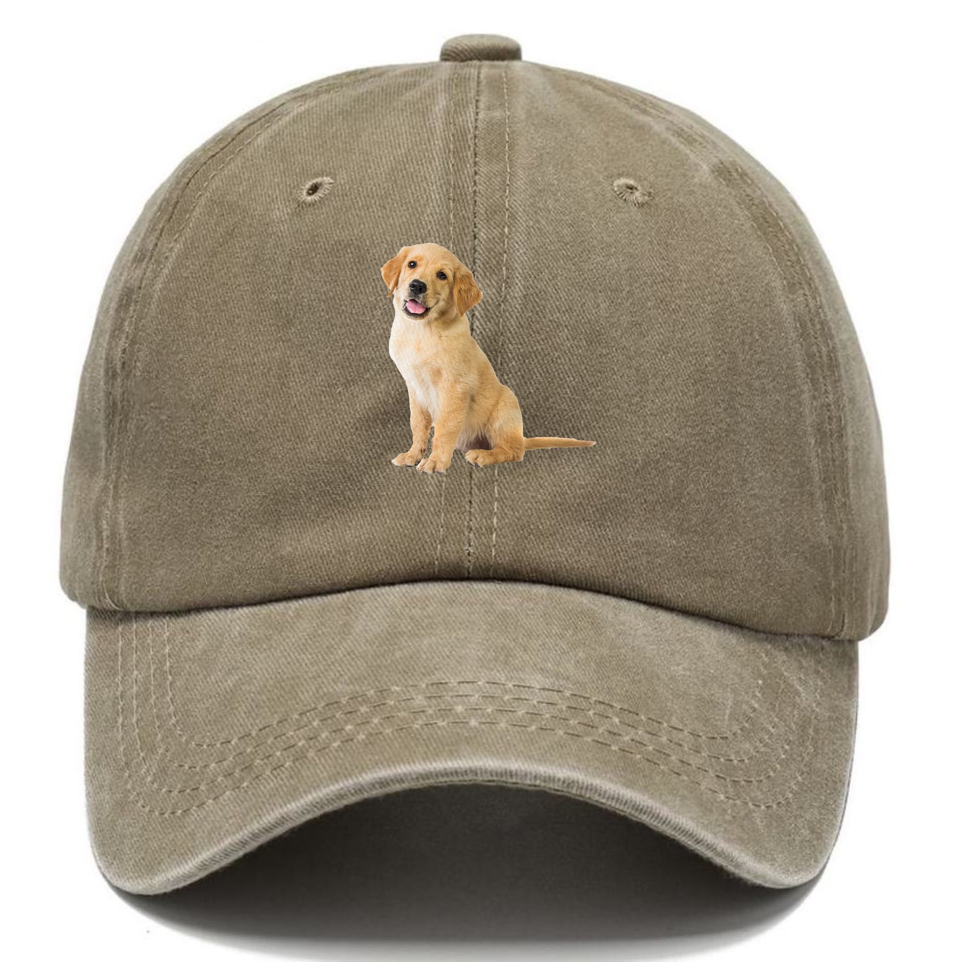 Playful golden pup with a cheerful expression Hat