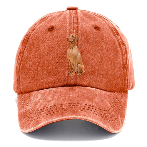 Vizsla Classic Cap