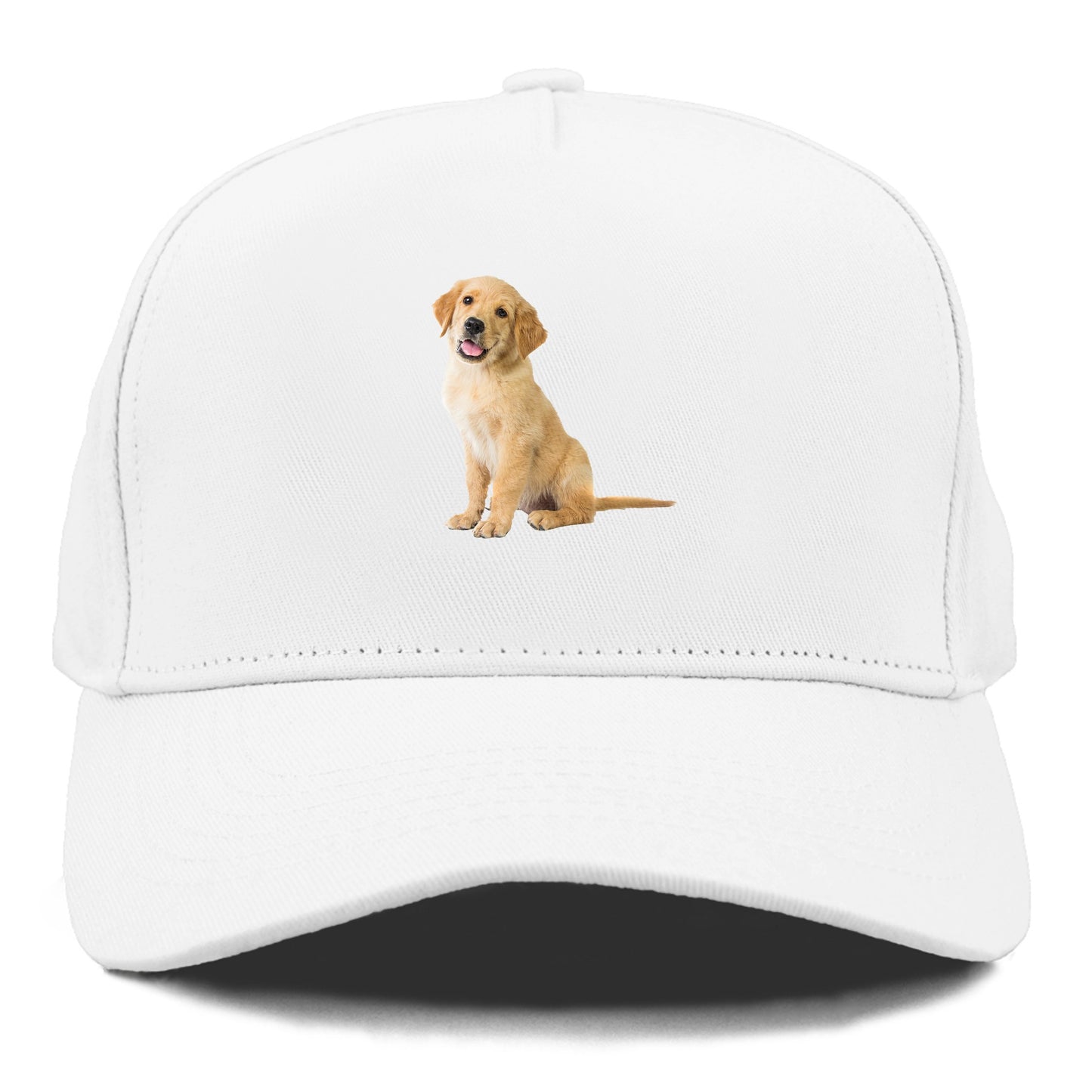 Playful golden pup with a cheerful expression Hat