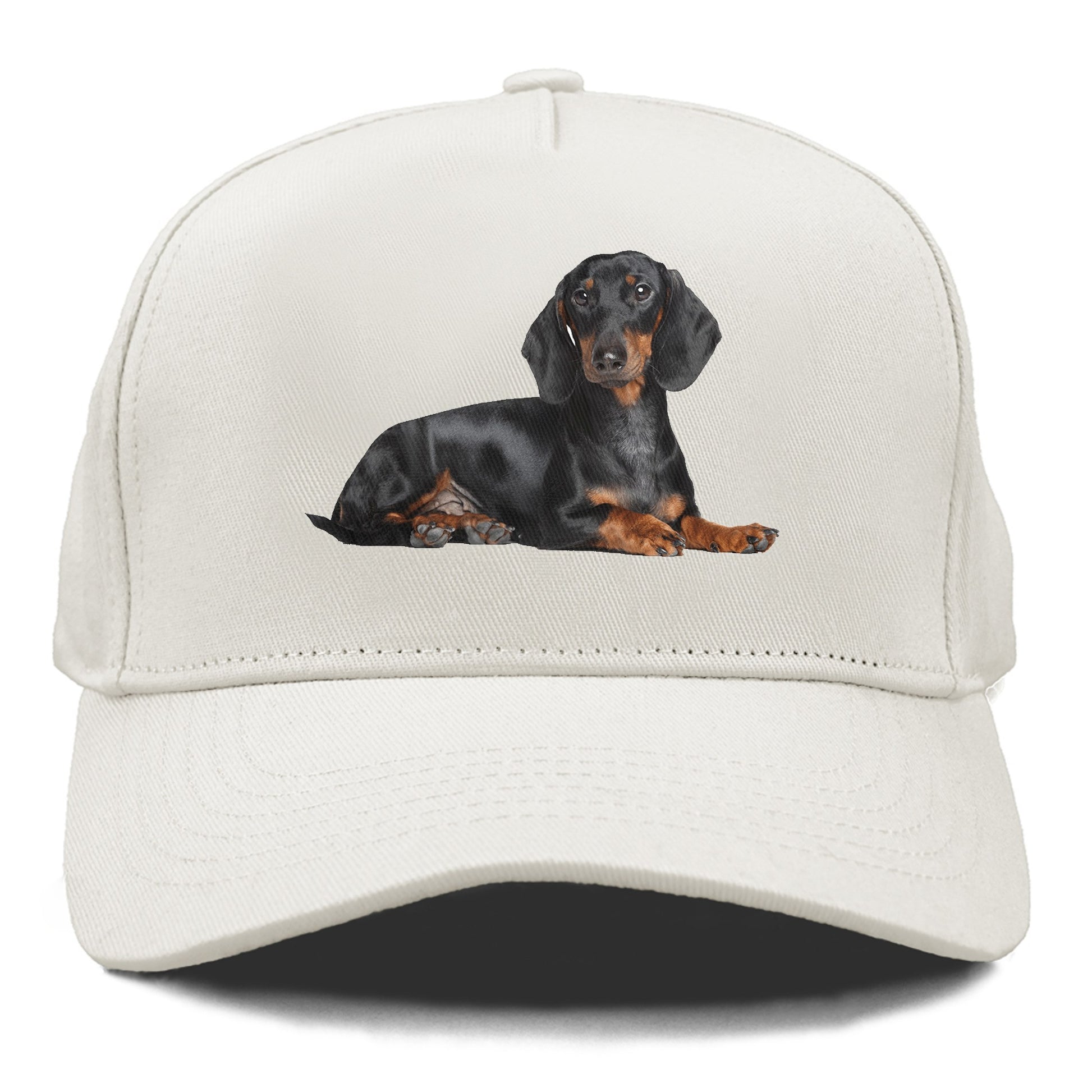 dachshund Hat