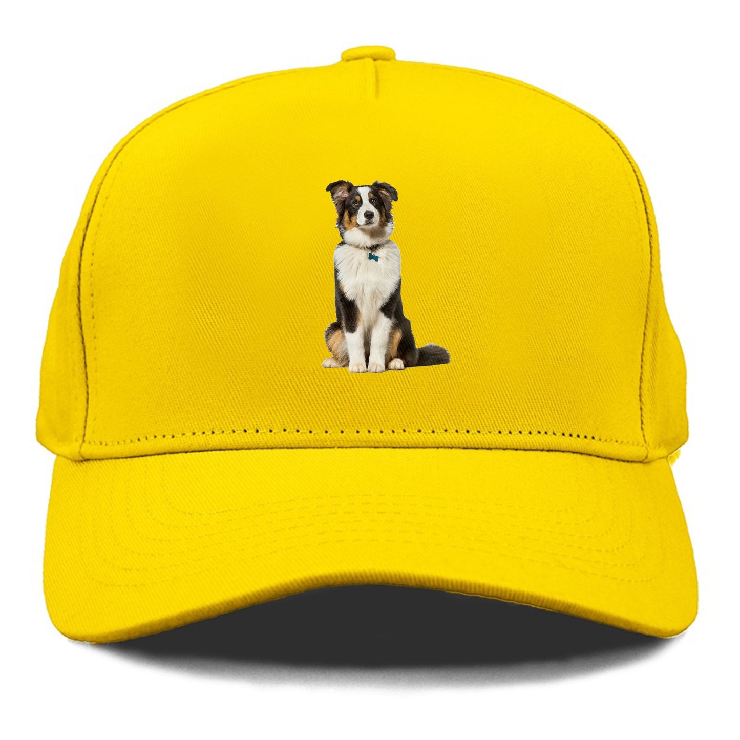 Attentive Australian Shepherd sitting upright Hat