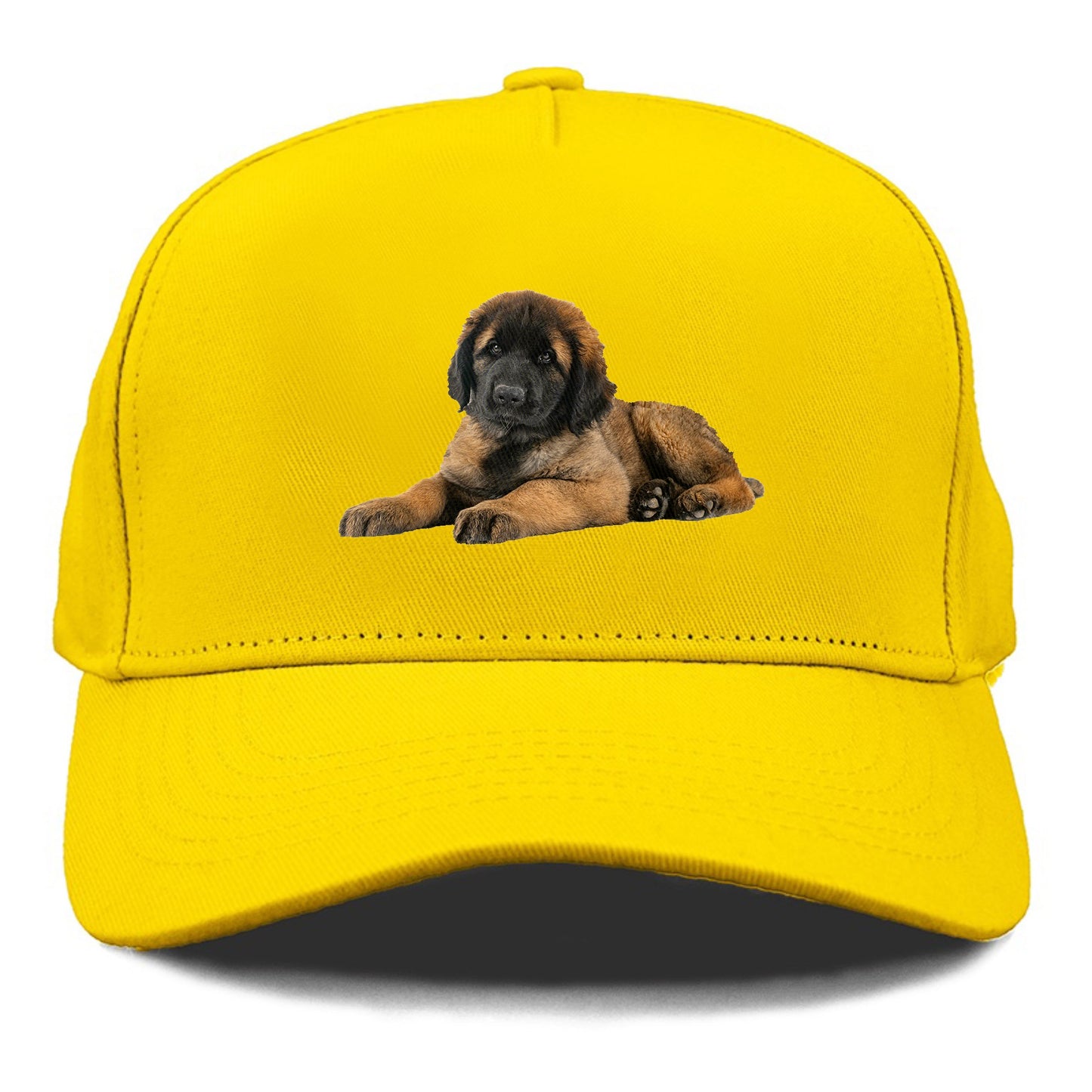 Leonberger Hat