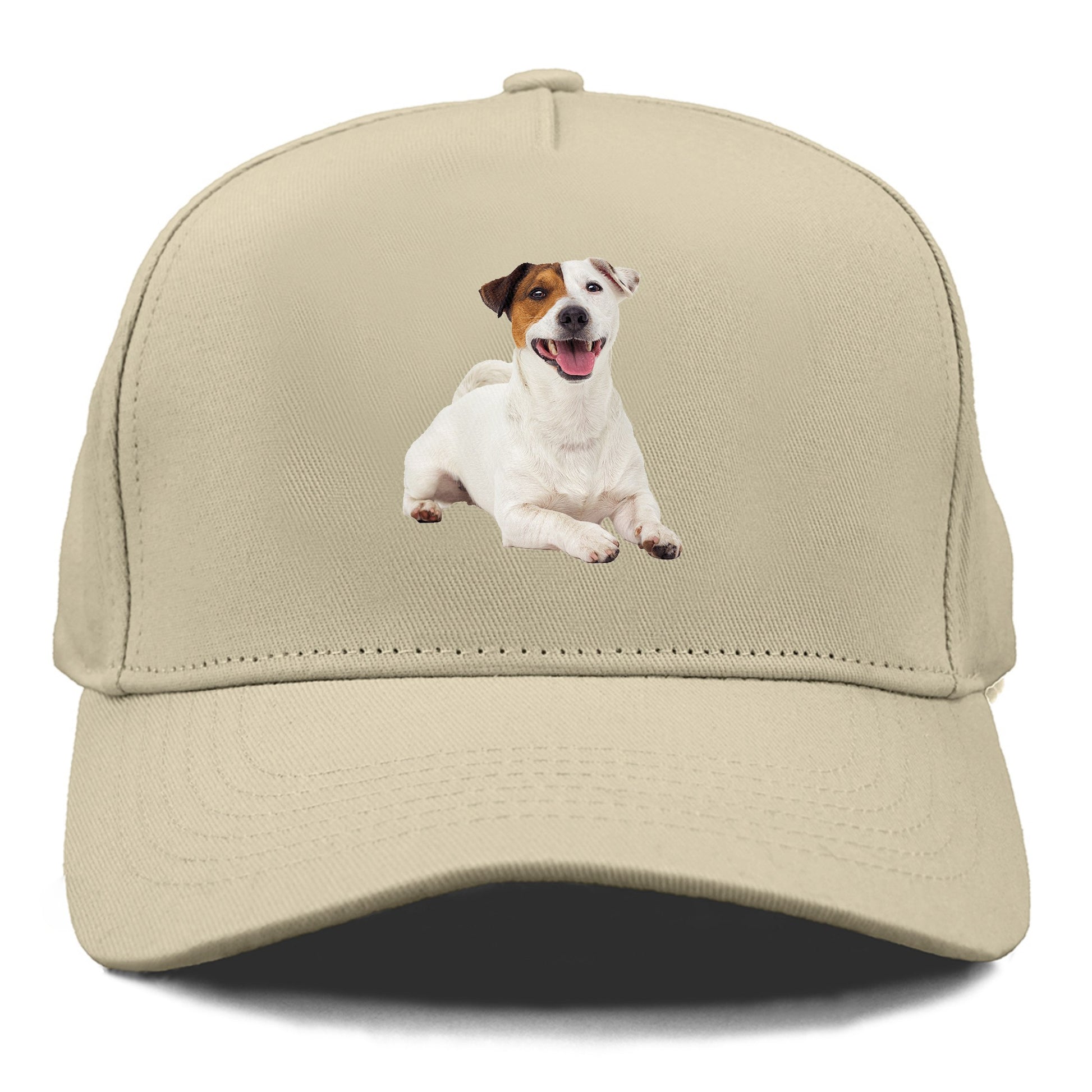 jack russell terrier dog Hat