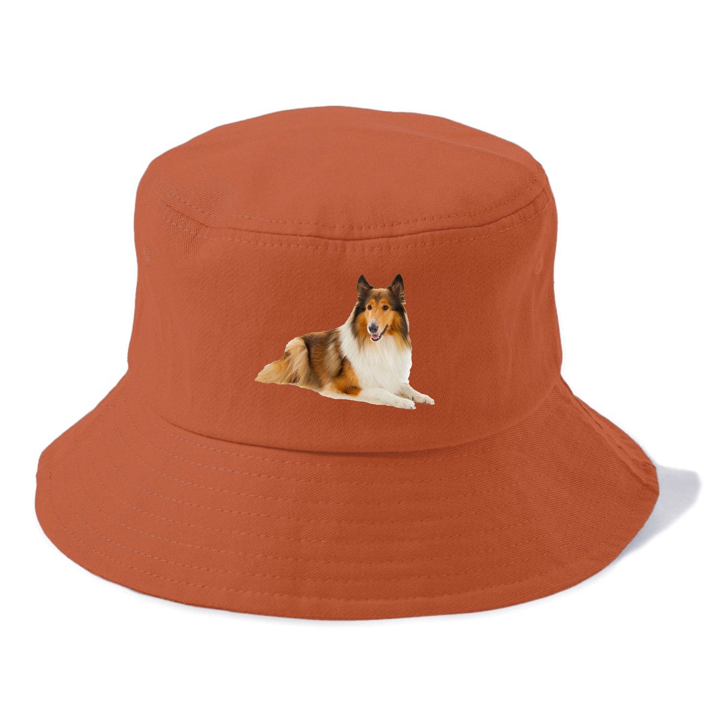 Rough Collie Hat