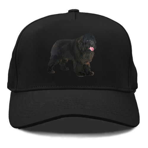 Newfoundland Cap