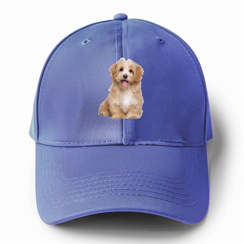 Adorable Shih Tzu Hat