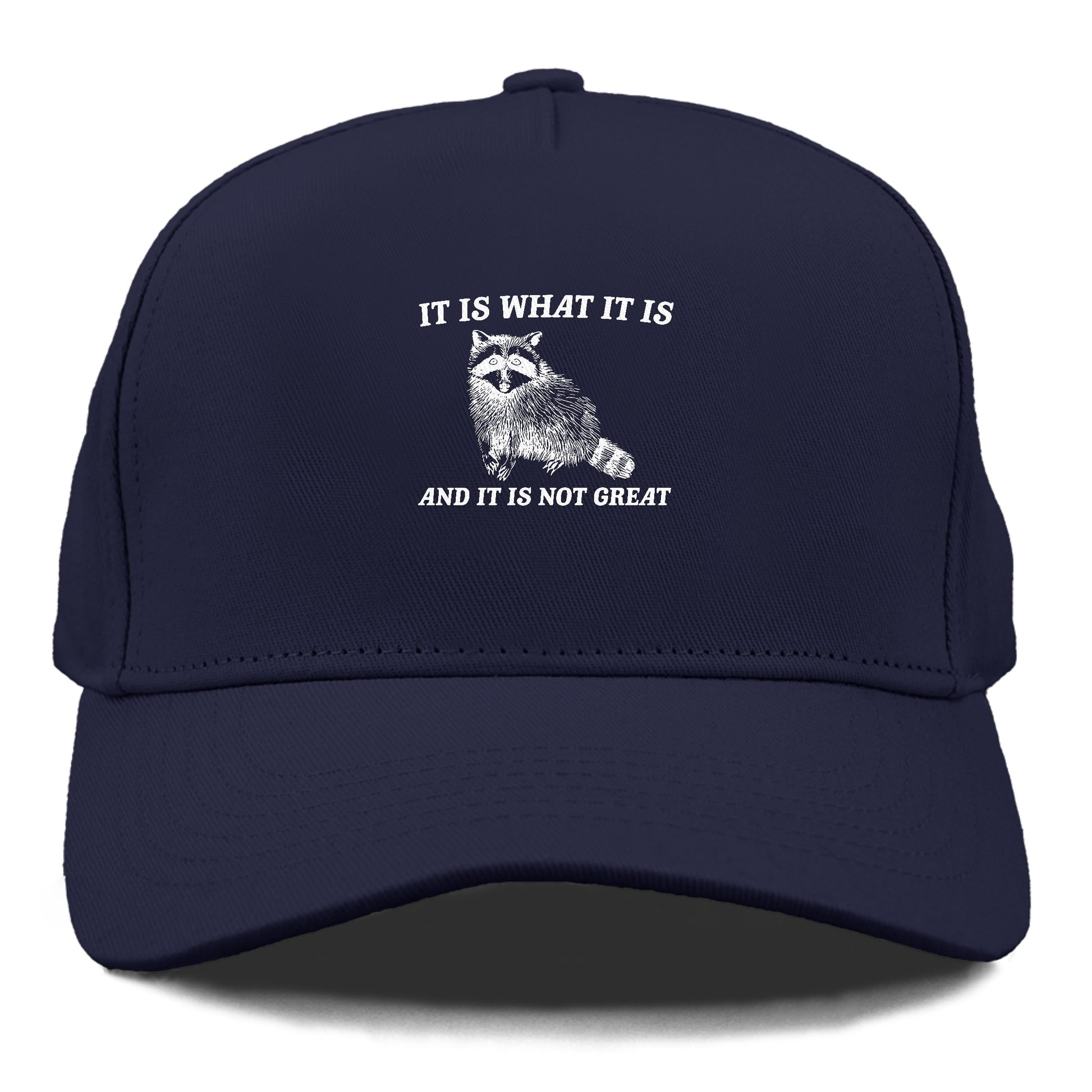 it is what it is Hat