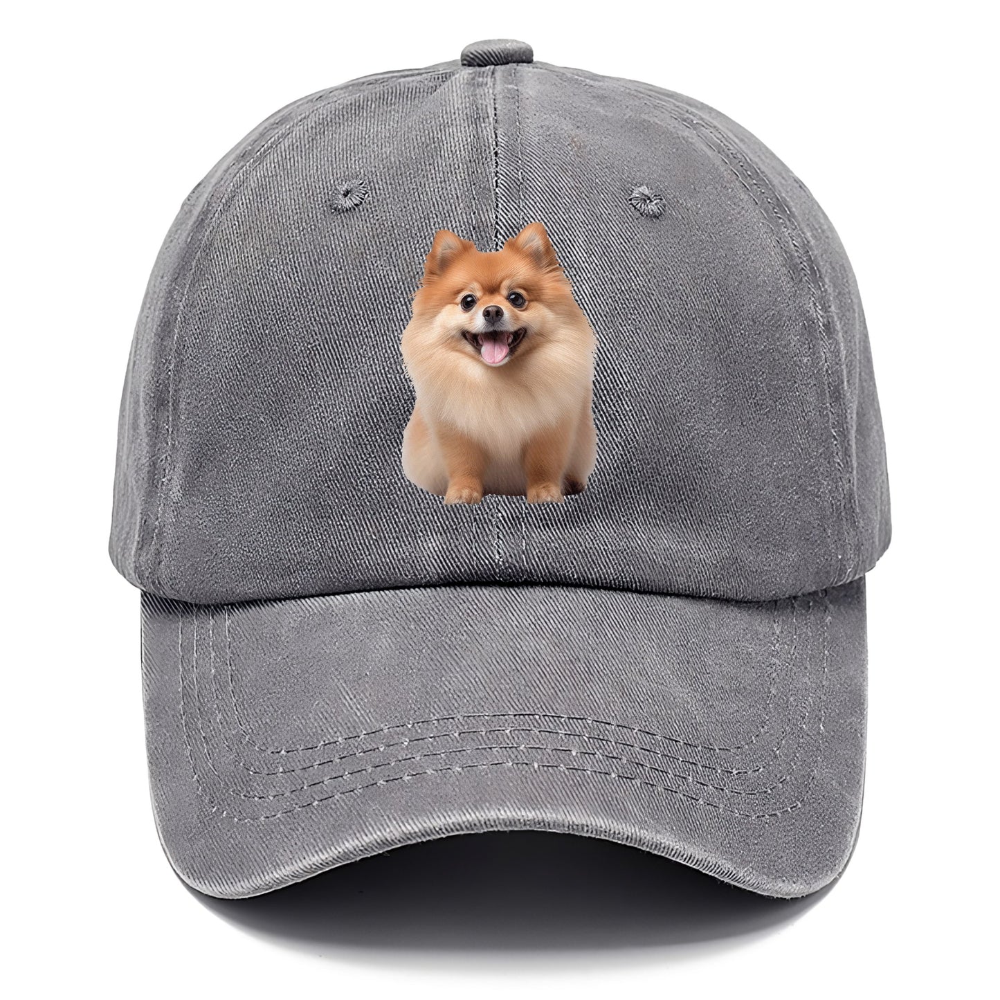 Delighted Pomeranian  Hat