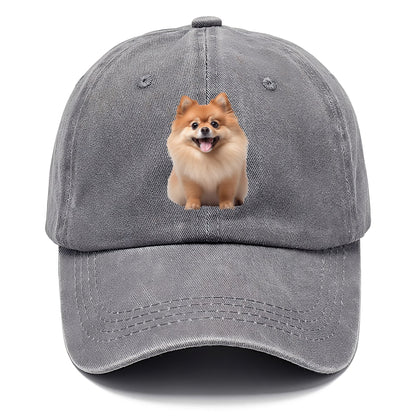 Delighted Pomeranian  Hat