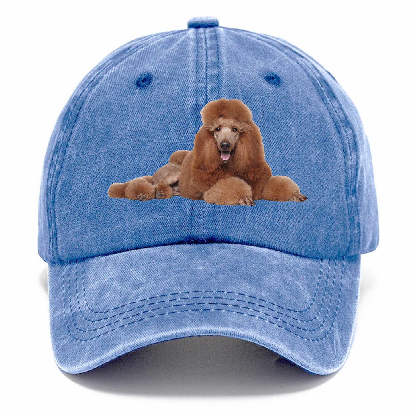 standard poodle Hat