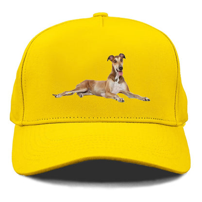 Greyhound Hat