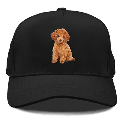 toy poodle Hat