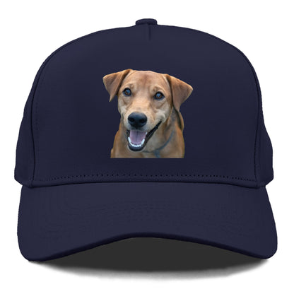 Labrador Hat