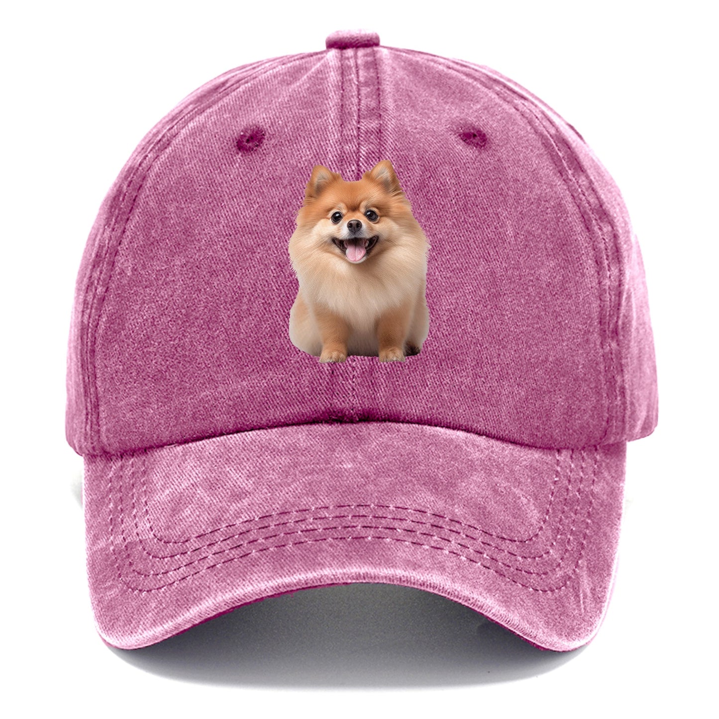 Delighted Pomeranian  Hat