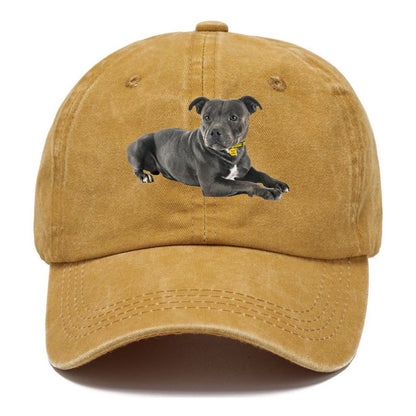 Staffordshire Bull Terrier Hat