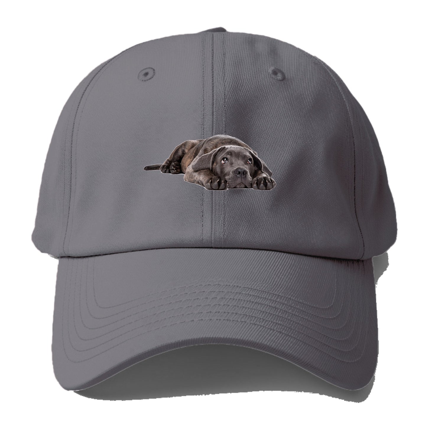 cane corso Hat