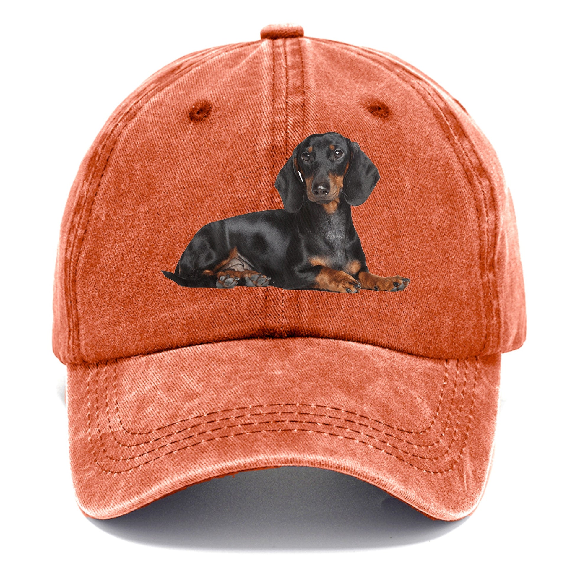 dachshund Hat