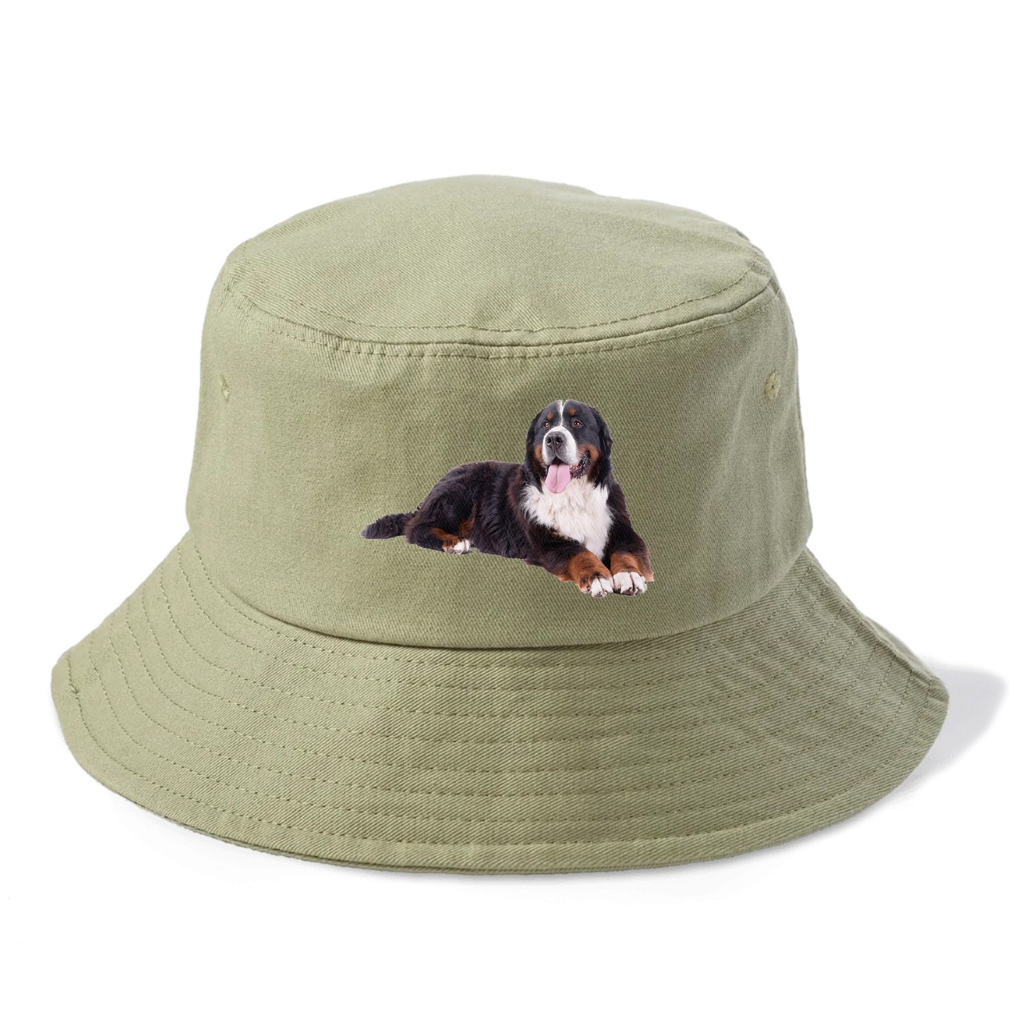 bernese mountain dog Hat