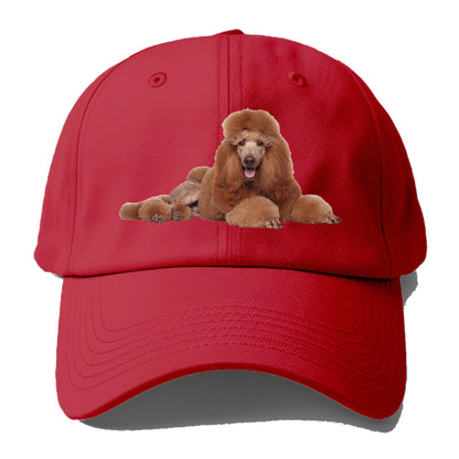 standard poodle Hat