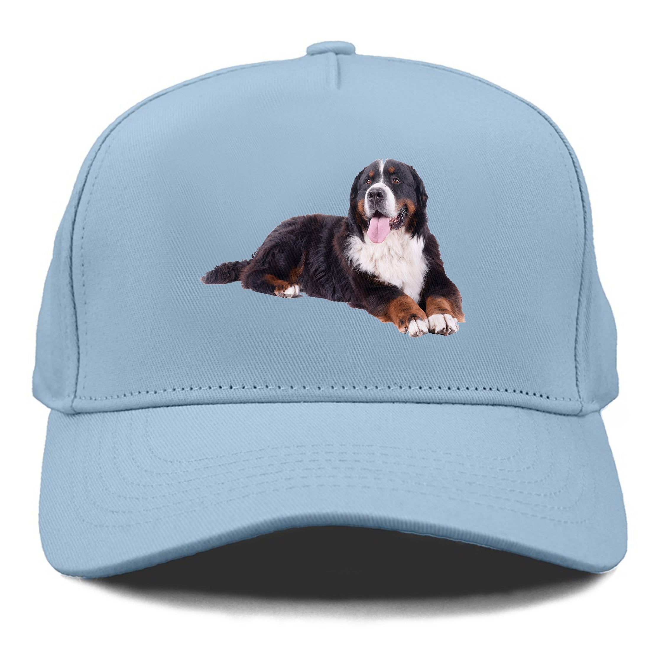 Bernese mountain dog store hat