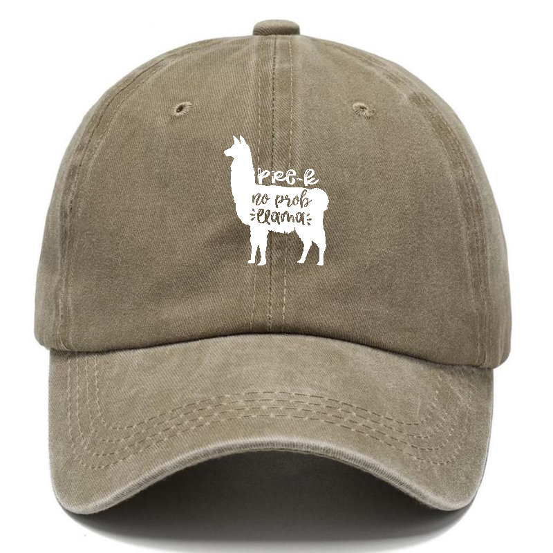 Prek no prob llama Hat