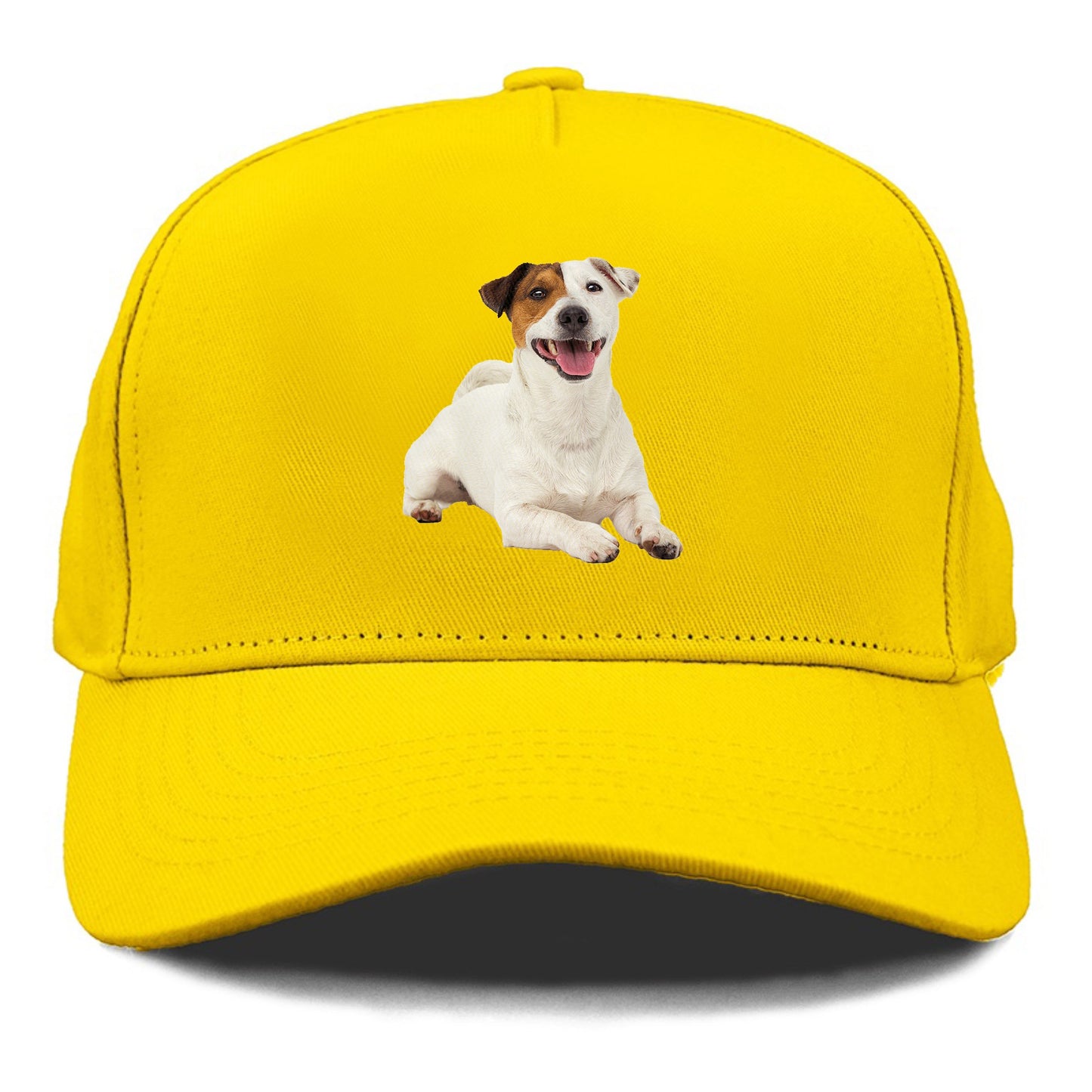 jack russell terrier dog Hat