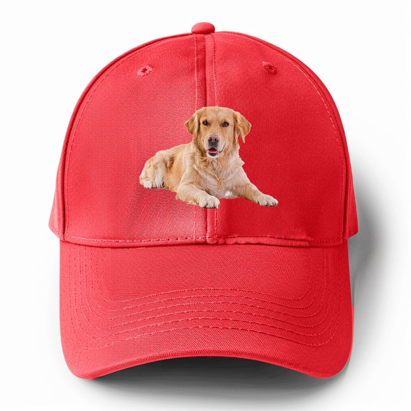 Golden Retriever laying down Hat