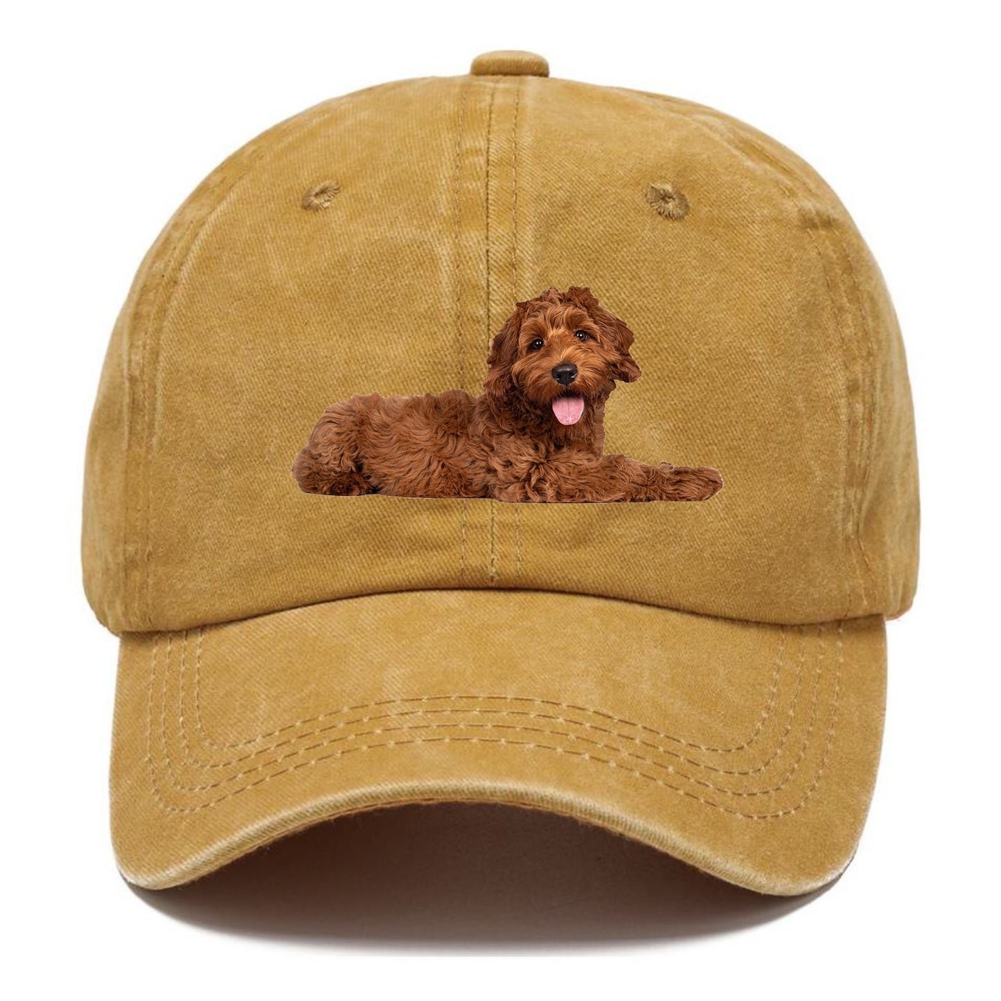 Labradoodle laying down Hat