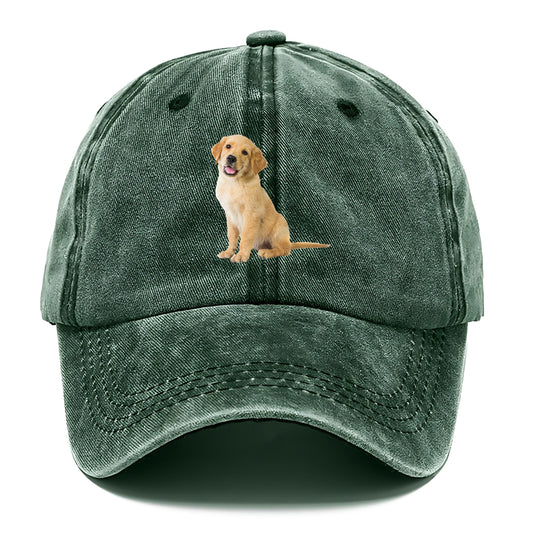 Playful golden pup with a cheerful expression Hat